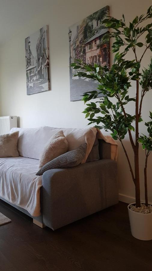 Апартаменти Venice Apartment, Self Check-in 24h, Free Parking *